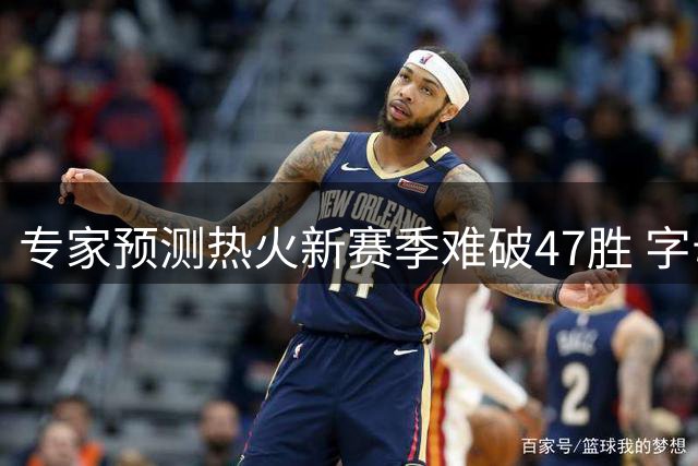 专家预测热火新赛季难破47胜 字母哥与阿德巴约磨合成隐忧