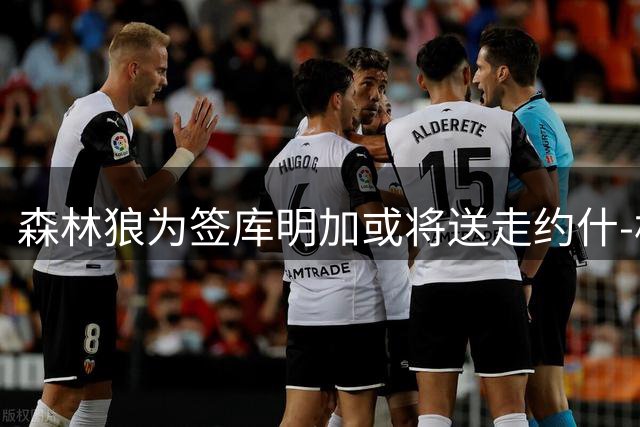 森林狼为签库明加或将送走约什-格林