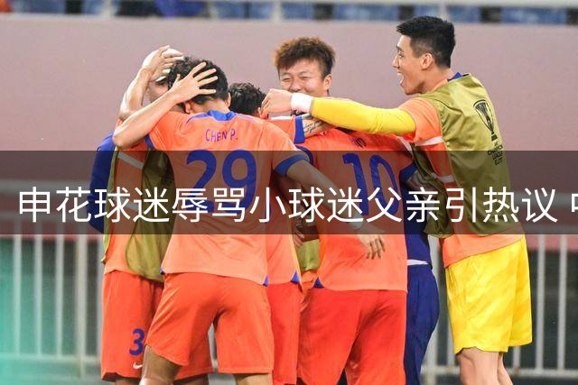 申花球迷辱骂小球迷父亲引热议 中足联对上海赛区通报批评
