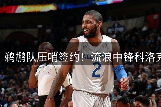 鹈鹕队压哨签约！流浪中锋科洛克获一年短约冲击最终席位